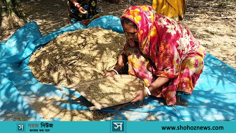 ময়লা পরিষ্কার করে সংগ্রহ করা হচ্ছে ‘বাঁশের ধান’