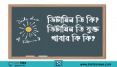 ভিটামিন ডি (Vitamin D) কি? ভিটামিন ডি যুক্ত খাবার কি কি?